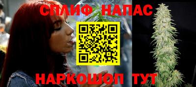 МДПВ Заводоуковск