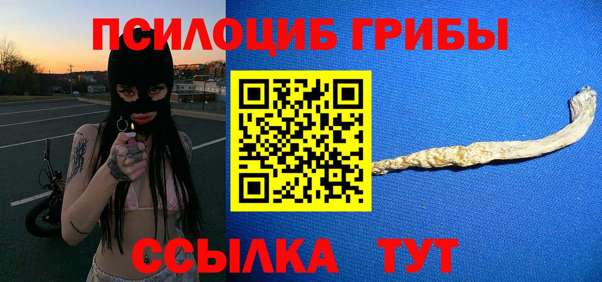 Галлюциногенные грибы мицелий  Вход с VPN  Михайловск 