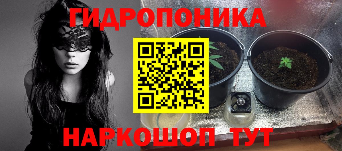 Конопля White Widow  Марихуана сатива  Вход с VPN  Михайловск  Шишки марихуана сатива 